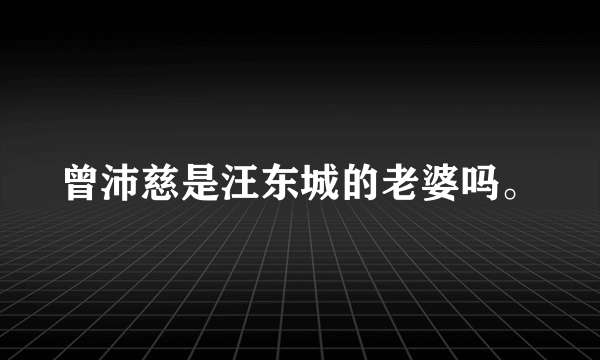 曾沛慈是汪东城的老婆吗。