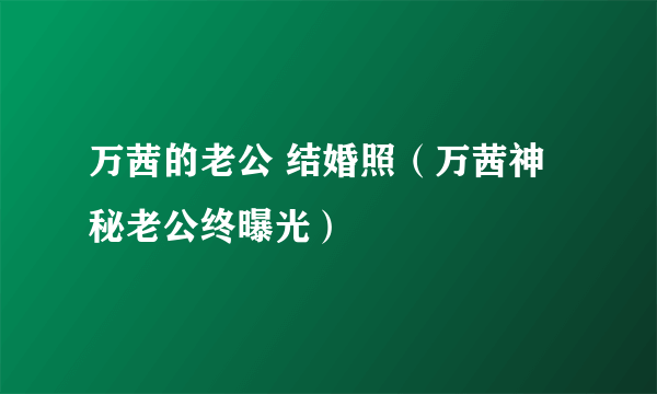 万茜的老公 结婚照（万茜神秘老公终曝光）