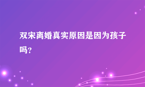 双宋离婚真实原因是因为孩子吗？