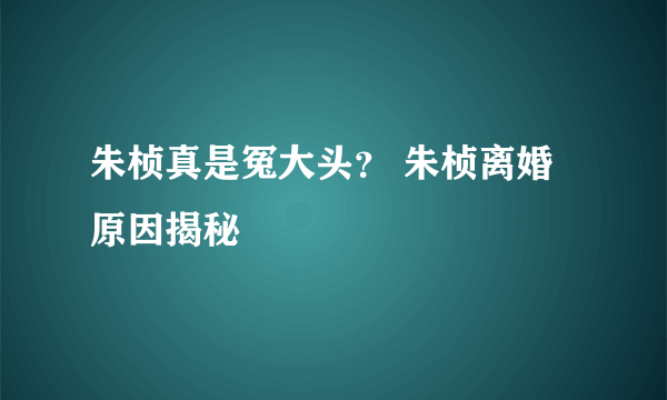 朱桢真是冤大头？ 朱桢离婚原因揭秘