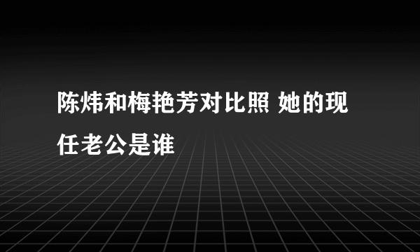 陈炜和梅艳芳对比照 她的现任老公是谁