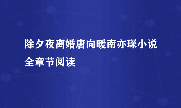 除夕夜离婚唐向暖南亦琛小说全章节阅读