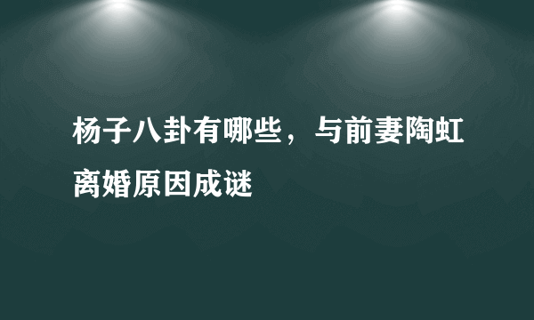 杨子八卦有哪些，与前妻陶虹离婚原因成谜