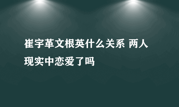 崔宇革文根英什么关系 两人现实中恋爱了吗