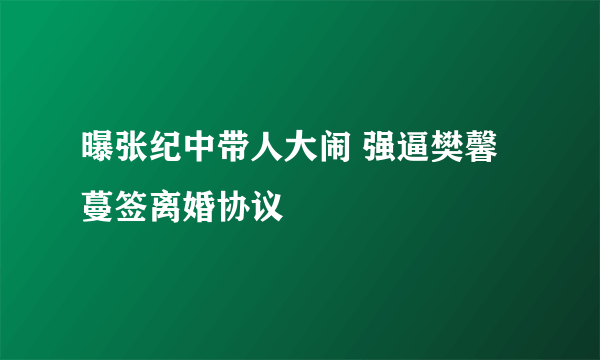 曝张纪中带人大闹 强逼樊馨蔓签离婚协议