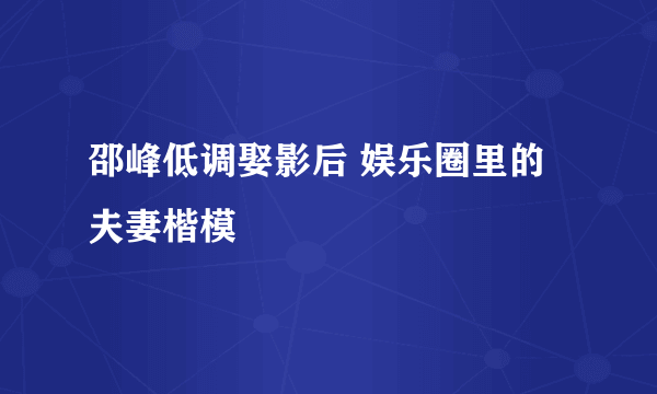 邵峰低调娶影后 娱乐圈里的夫妻楷模