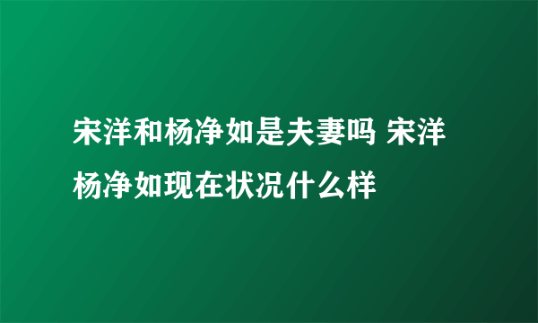 宋洋和杨净如是夫妻吗 宋洋杨净如现在状况什么样