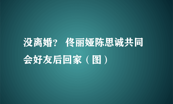 没离婚？ 佟丽娅陈思诚共同会好友后回家（图）