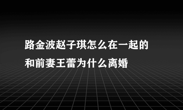 路金波赵子琪怎么在一起的 和前妻王蕾为什么离婚