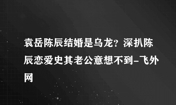 袁岳陈辰结婚是乌龙？深扒陈辰恋爱史其老公意想不到