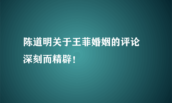 陈道明关于王菲婚姻的评论　深刻而精辟！