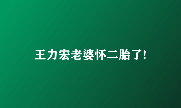 王力宏老婆怀二胎了!