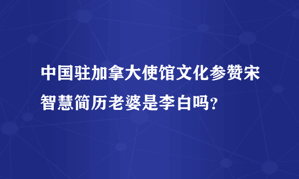 中国驻加拿大使馆文化参赞宋智慧简历老婆是李白吗？