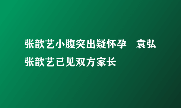 张歆艺小腹突出疑怀孕   袁弘张歆艺已见双方家长