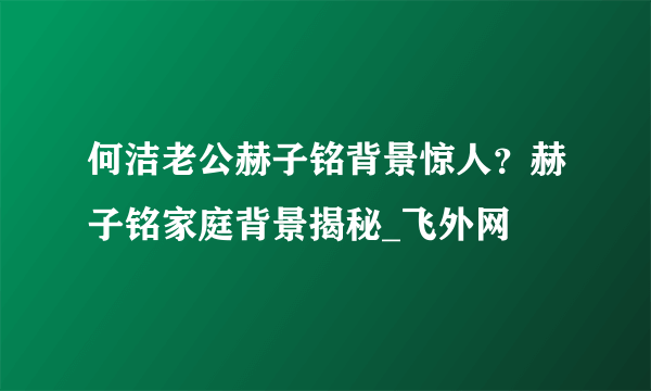 何洁老公赫子铭背景惊人？赫子铭家庭背景揭秘