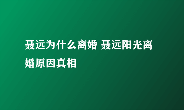 聂远为什么离婚 聂远阳光离婚原因真相