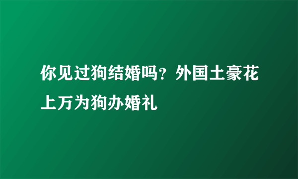 你见过狗结婚吗？外国土豪花上万为狗办婚礼