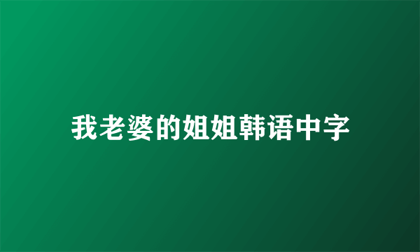 我老婆的姐姐韩语中字