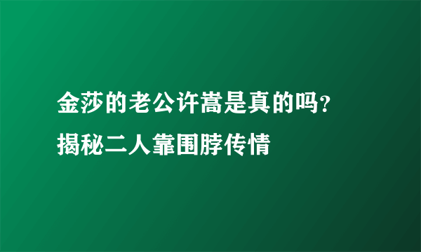 金莎的老公许嵩是真的吗？  揭秘二人靠围脖传情