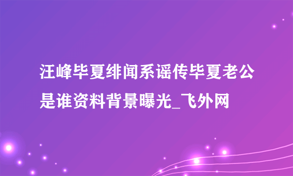 汪峰毕夏绯闻系谣传毕夏老公是谁资料背景曝光