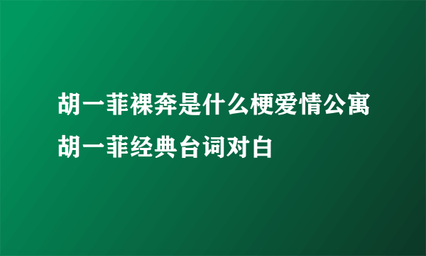 胡一菲裸奔是什么梗爱情公寓胡一菲经典台词对白