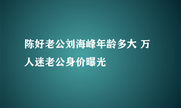 陈好老公刘海峰年龄多大 万人迷老公身价曝光