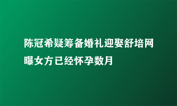 陈冠希疑筹备婚礼迎娶舒培网曝女方已经怀孕数月