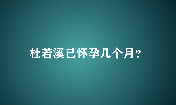 杜若溪已怀孕几个月？