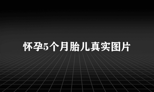 怀孕5个月胎儿真实图片