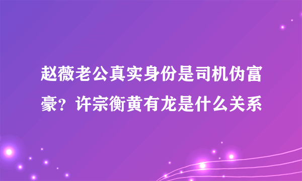 赵薇老公真实身份是司机伪富豪？许宗衡黄有龙是什么关系