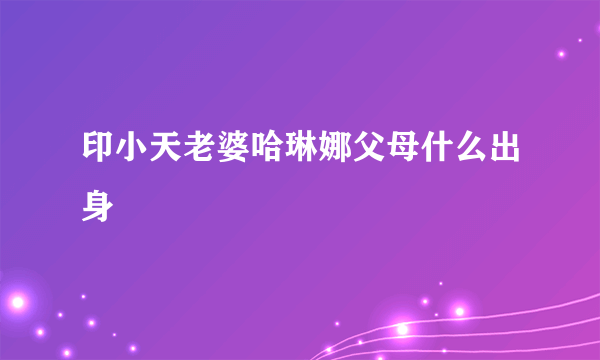 印小天老婆哈琳娜父母什么出身