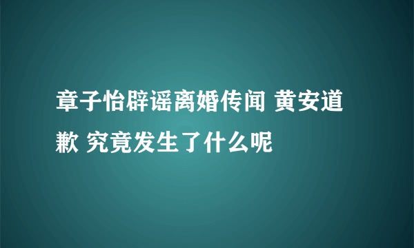 章子怡辟谣离婚传闻 黄安道歉 究竟发生了什么呢