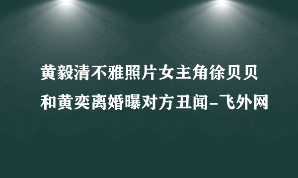 黄毅清不雅照片女主角徐贝贝和黄奕离婚曝对方丑闻-飞外网