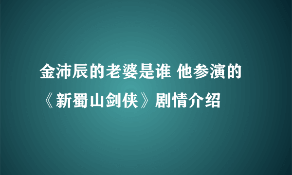 金沛辰的老婆是谁 他参演的《新蜀山剑侠》剧情介绍