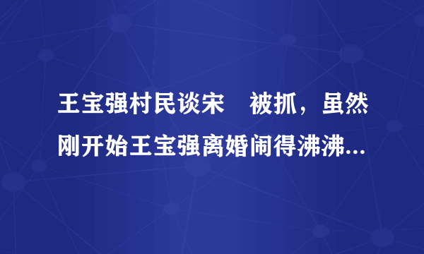 王宝强村民谈宋喆被抓，虽然刚开始王宝强离婚闹得沸沸扬扬的-飞外网