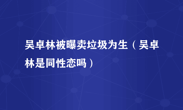 吴卓林被曝卖垃圾为生（吴卓林是同性恋吗）