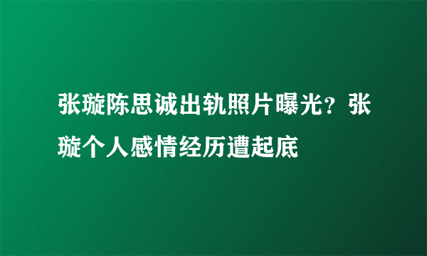 张璇陈思诚出轨照片曝光？张璇个人感情经历遭起底