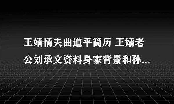 王婧情夫曲道平简历 王婧老公刘承文资料身家背景和孙楠什么关系