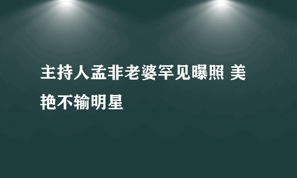 主持人孟非老婆罕见曝照 美艳不输明星