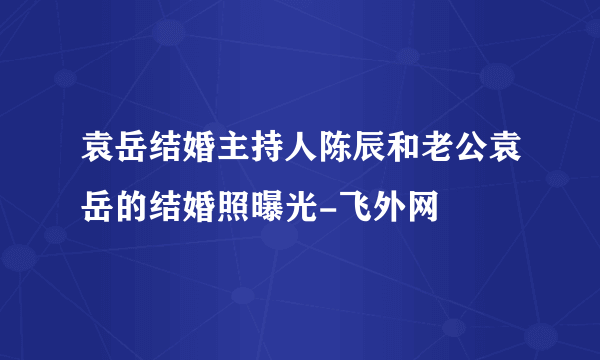 袁岳结婚主持人陈辰和老公袁岳的结婚照曝光