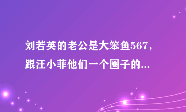 刘若英的老公是大笨鱼567，跟汪小菲他们一个圈子的。是谁？