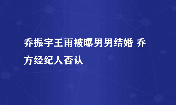 乔振宇王雨被曝男男结婚 乔方经纪人否认