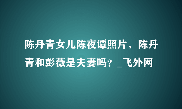 陈丹青女儿陈夜谭照片，陈丹青和彭薇是夫妻吗？_飞外网