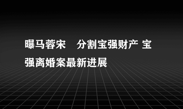 曝马蓉宋喆分割宝强财产 宝强离婚案最新进展