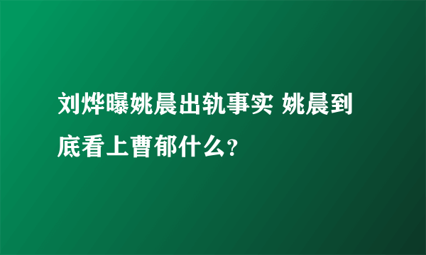 刘烨曝姚晨出轨事实 姚晨到底看上曹郁什么？