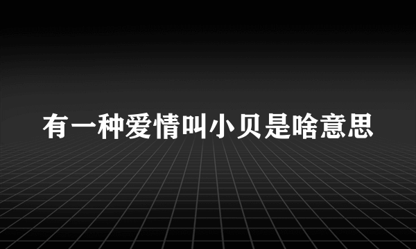 有一种爱情叫小贝是啥意思