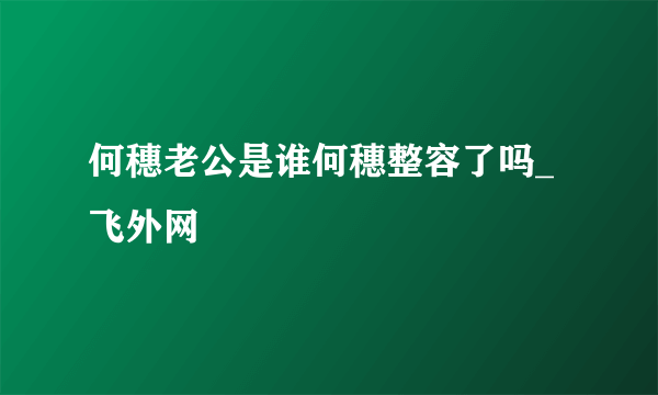 何穗老公是谁何穗整容了吗_飞外网