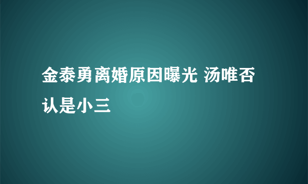 金泰勇离婚原因曝光 汤唯否认是小三