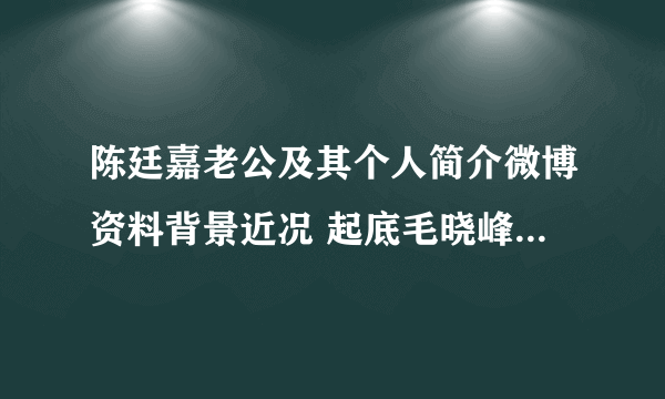 陈廷嘉老公及其个人简介微博资料背景近况 起底毛晓峰老婆陈廷嘉