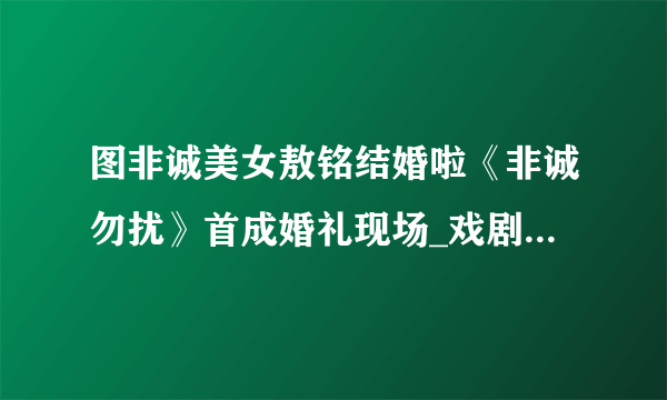 图非诚美女敖铭结婚啦《非诚勿扰》首成婚礼现场_戏剧